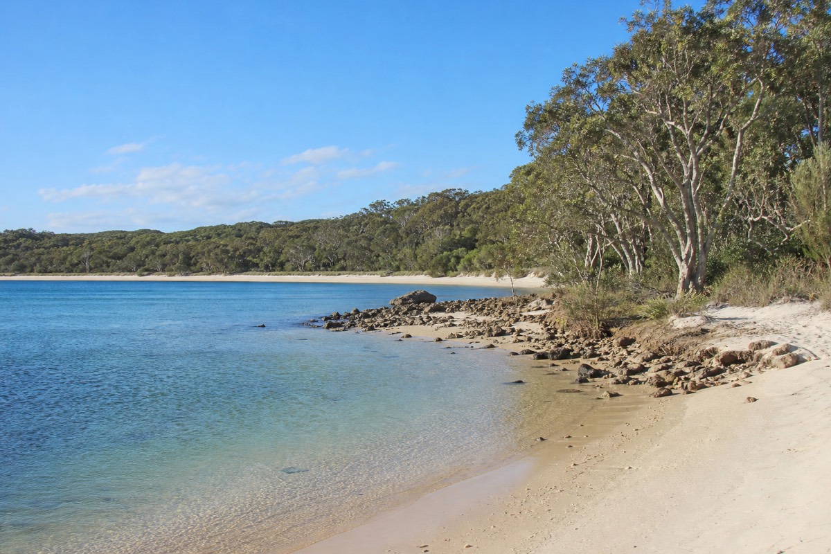 A sheltered sandy cove at Honeymoon Bay, Moreton Island