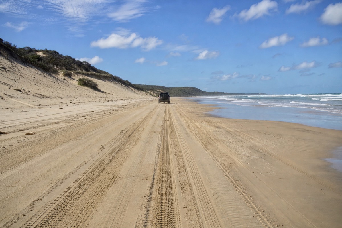 A 4WD sand track along the beach on Moreton Island