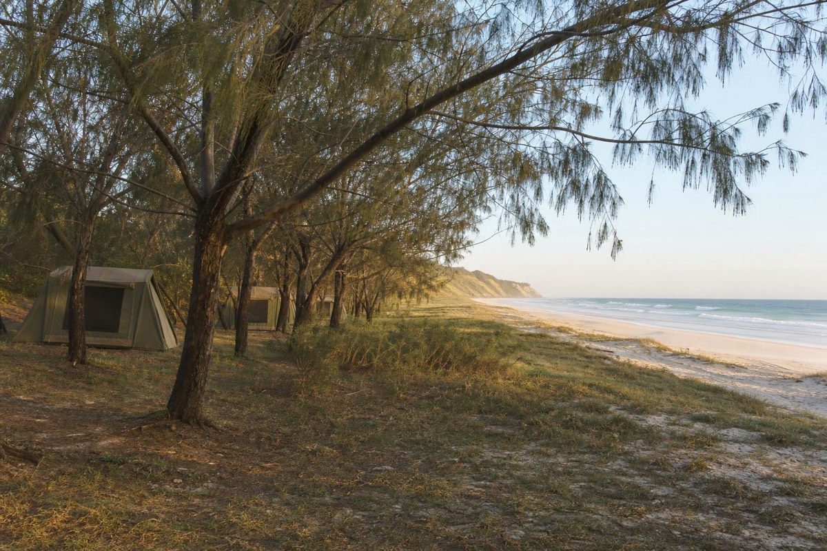 A simple beachfront camping area under coastal trees on Moreton Island