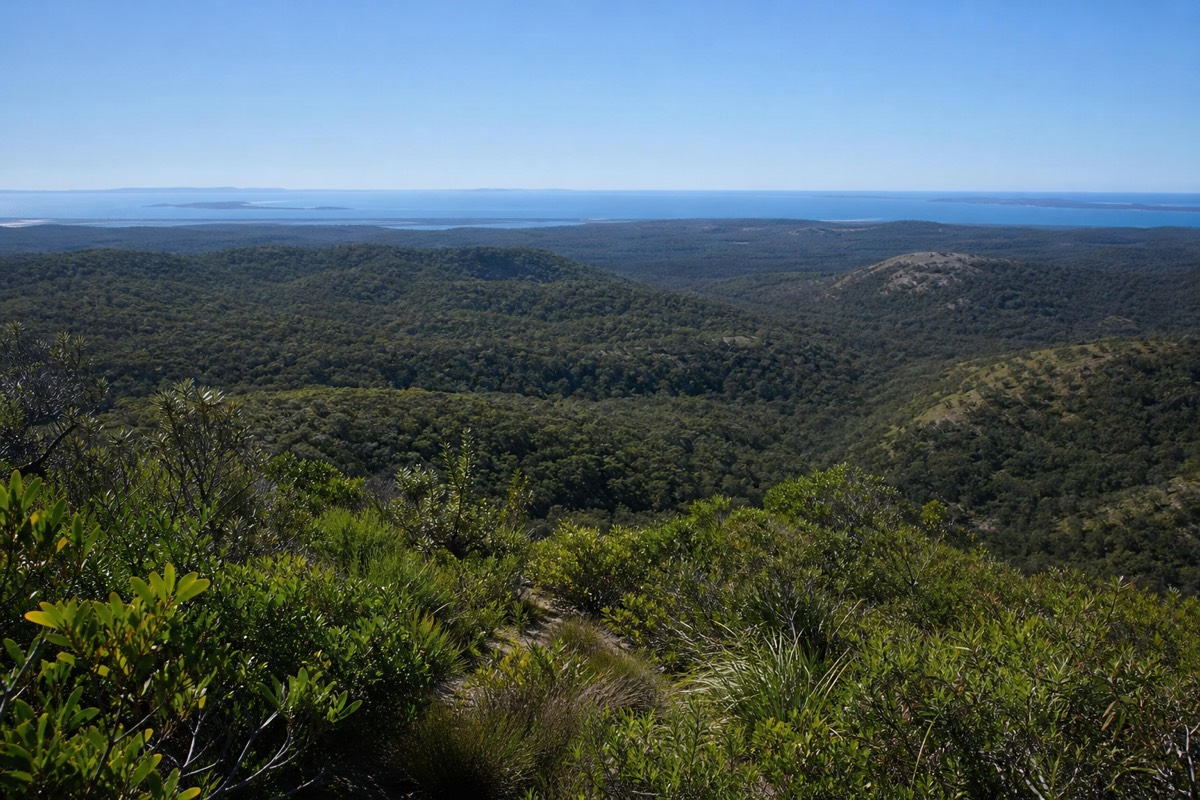 View from the summit of Mount Tempest across forested dunes toward Moreton Bay