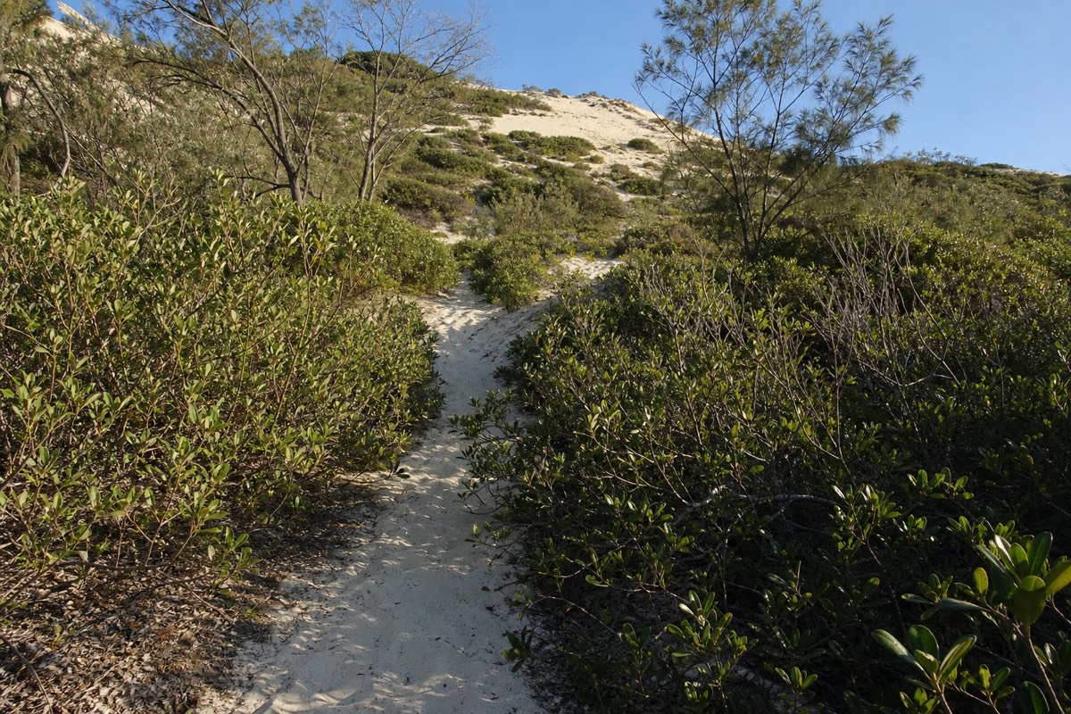 Mount Tempest, the highest coastal sand dune in the world