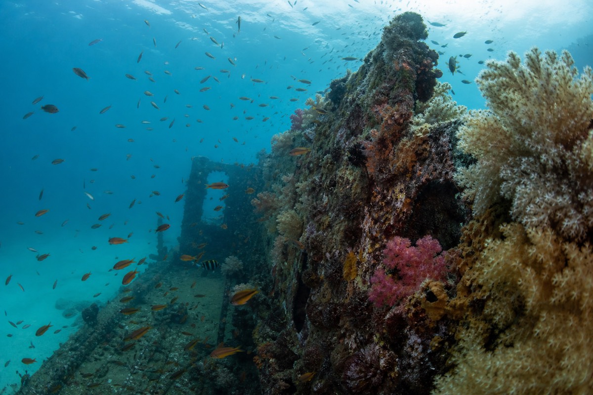 Moreton Island, Queensland
