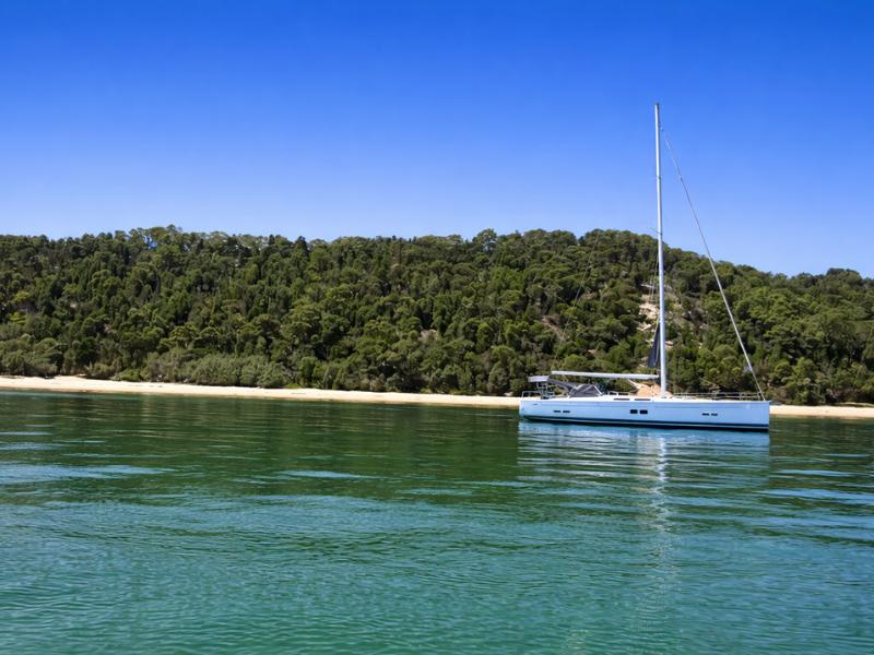 Moreton Island Dolphin Watching & Tangalooma Snorkel Cruise